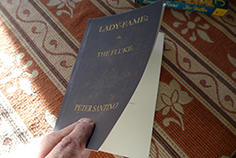 LADY-FAME cover